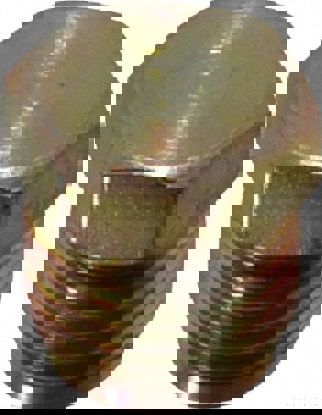 Steel Flared Tube Inverted Plug: 5/16